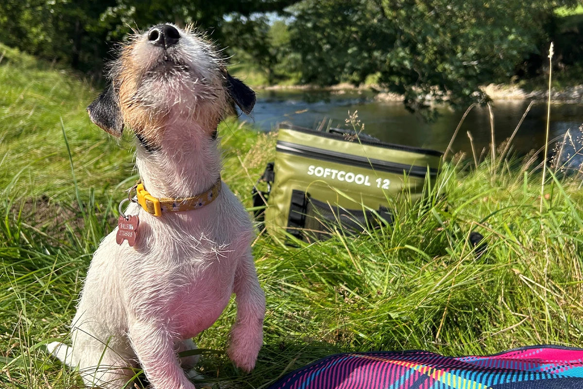 Best YETI Alternative in the UK for Camping and Outdoor Adventures