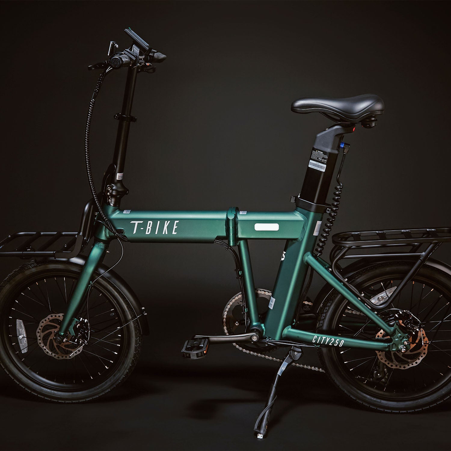 T-Bike CITY250 – Verde