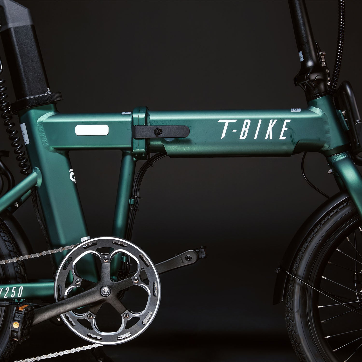 T-Bike CITY250 – Verde