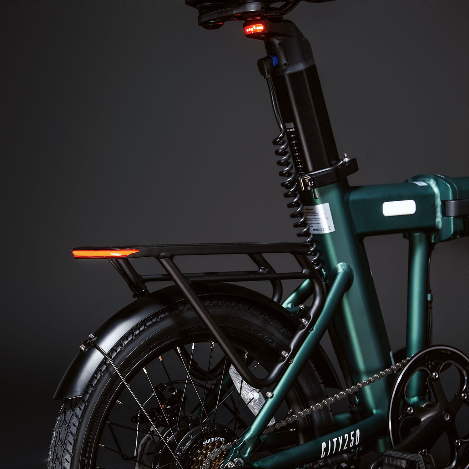T-Bike CITY250 – Verde