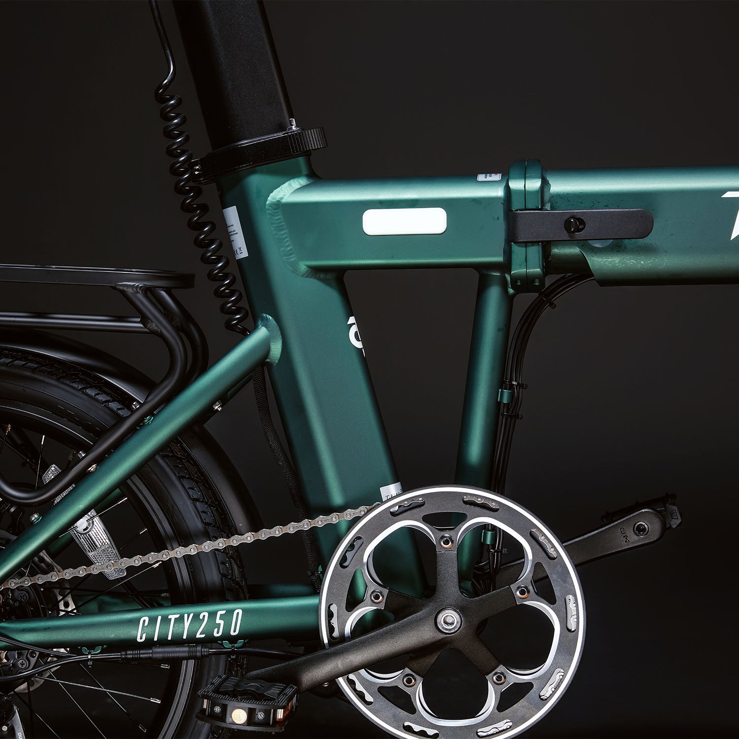 T-Bike CITY250 – Verde