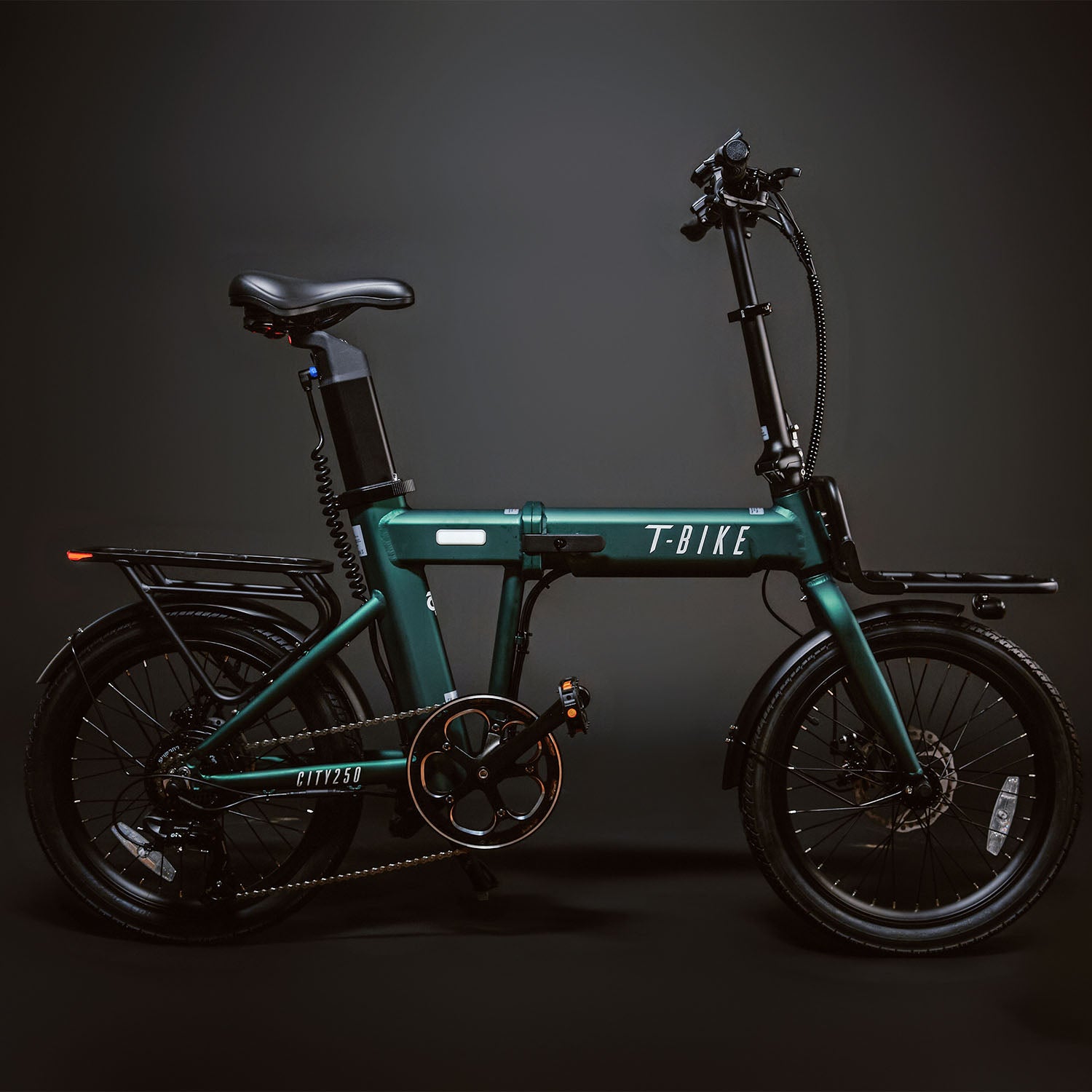 T-Bike CITY250 – Verde