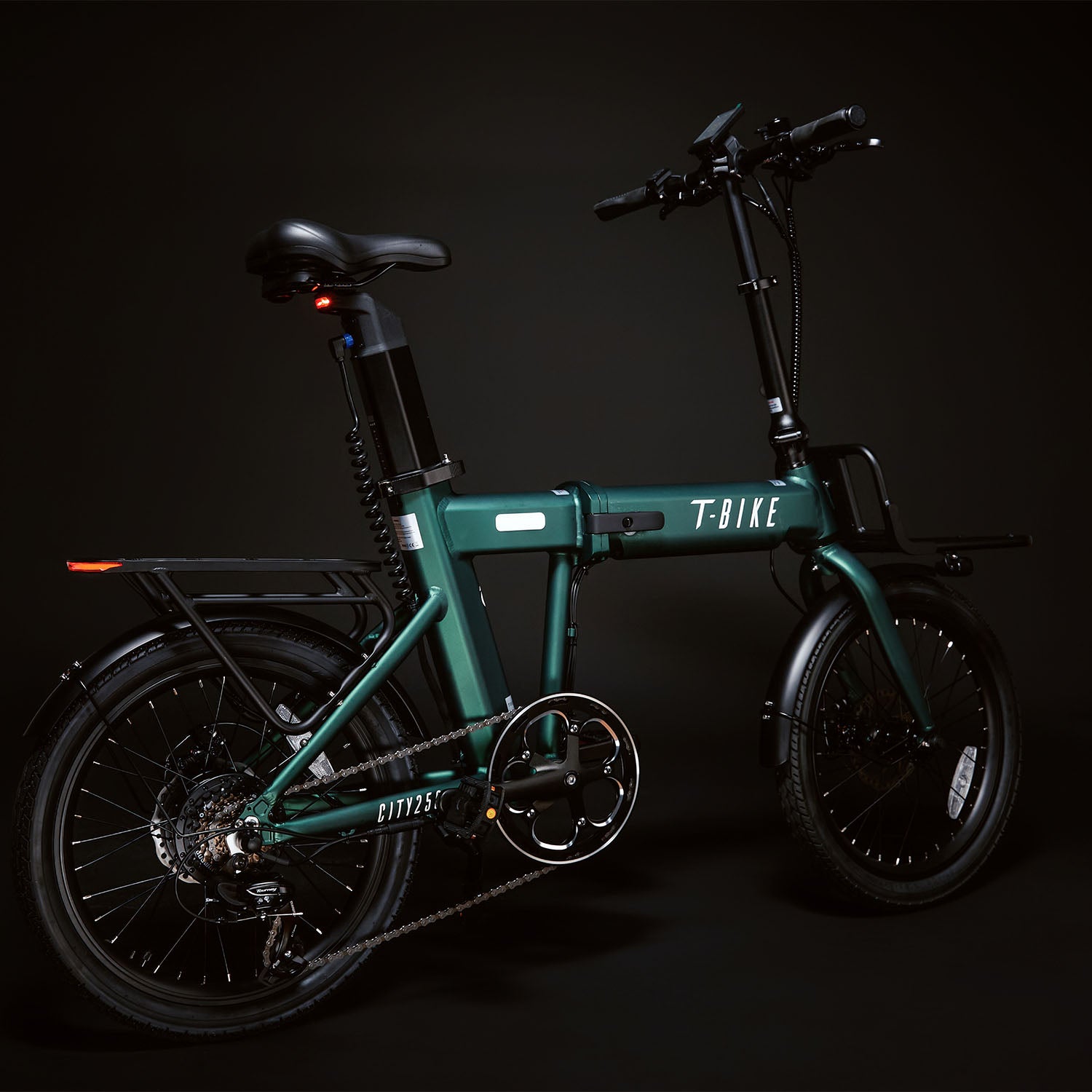 T-Bike CITY250 – Verde