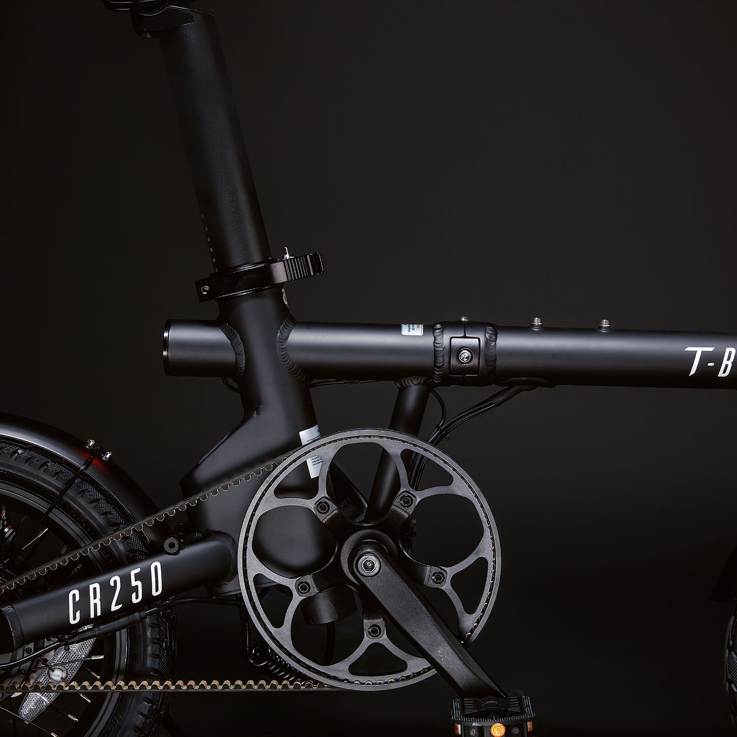 T-Bike CR250 – Schwarz