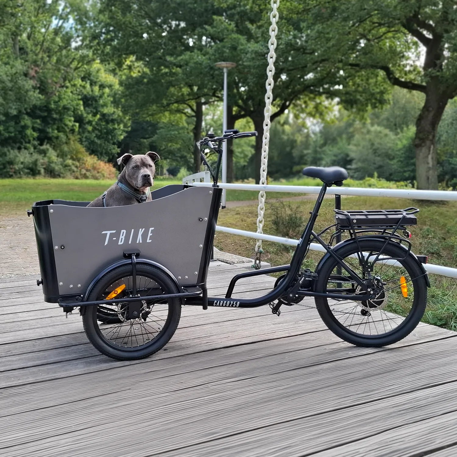 CARGO250 –  Electric Cargo Bike